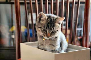 �����D���ł��B