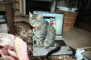 �����ł��B