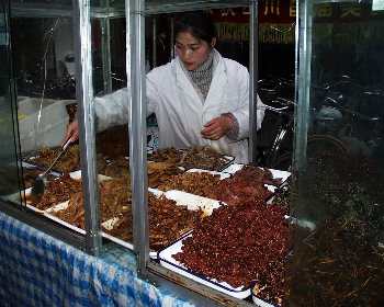 �E�T�M�̓�